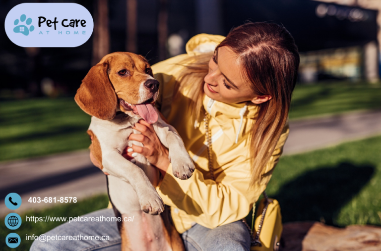 Vets To Go Euthanasia | Petcareathome.ca