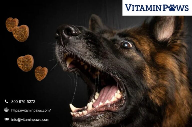 Fish Oil For Dogs | Vitaminpaws.com