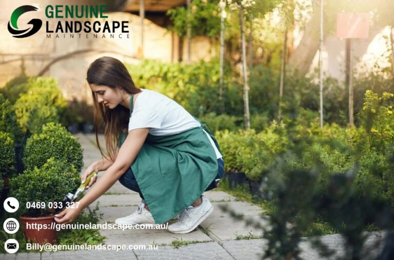 Landscape Maintenance Sydney Experts