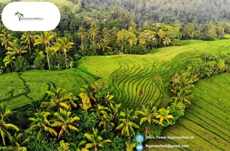 Boek Bali Tour Pakket Online | Ikganaarbali.nl