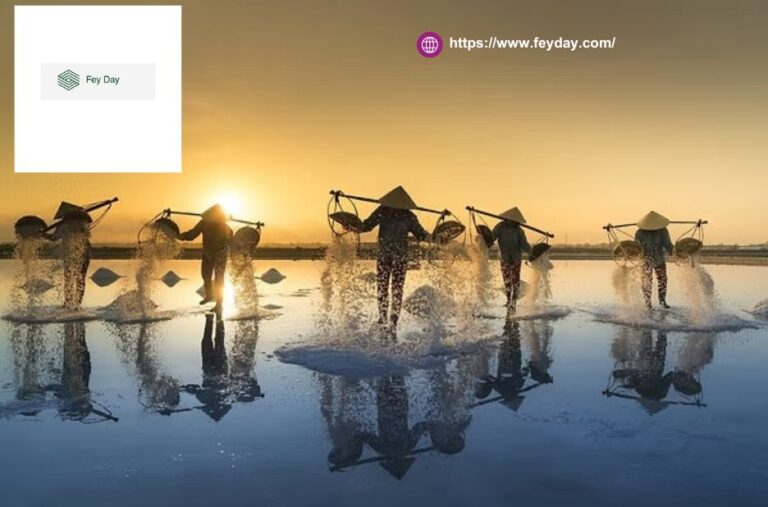 Singapore Business For Sale | Feyday.com
