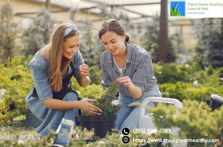 Thick Green Healthy Lawn & Pest | Thickgreenhealthy.com