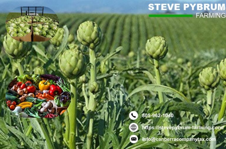 Agricultural and Vineyard Tax CPA Expert Santa Barbara