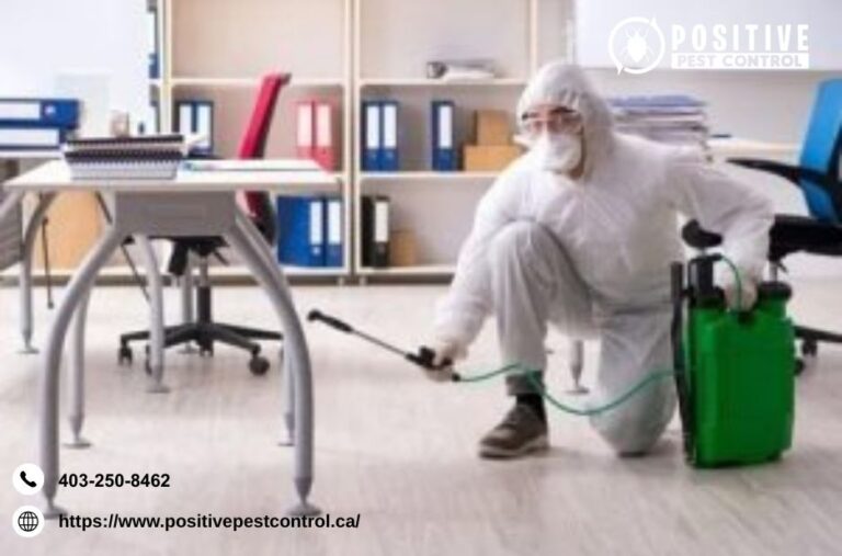Ant Control Calgary | Positivepestcontrol.ca