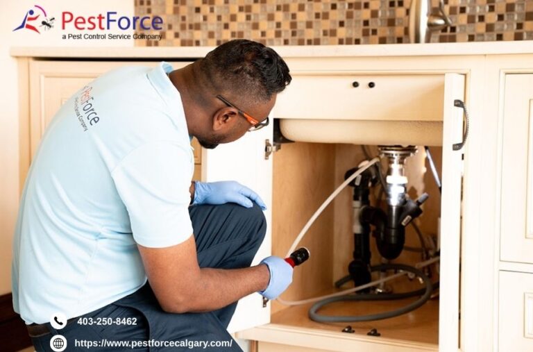 Calgary Exterminator | Pestforcecalgary.com