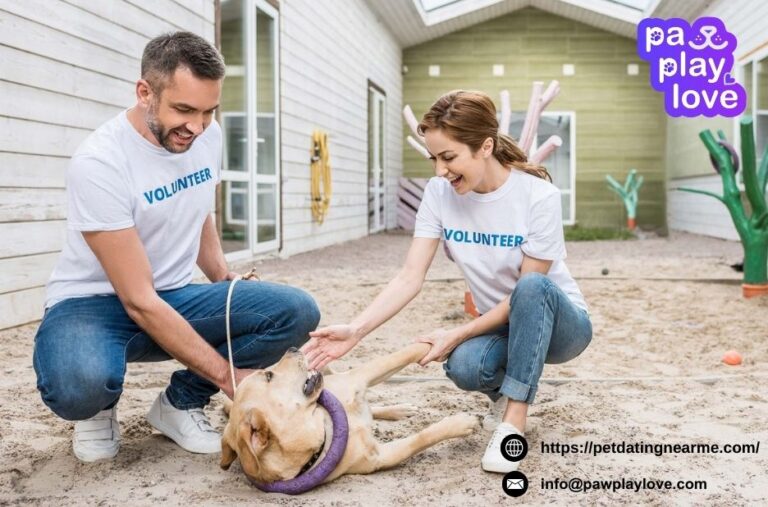 Find A Friend For My Dog | Petdatingnearme.com