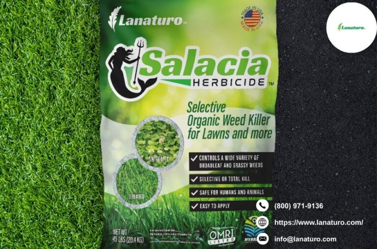 Weed Killer Bulk Buy: Practical Savings for Green Spaces