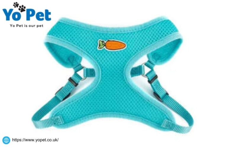 Online Cat Bedding Collection In Uk | Yopet.co.uk