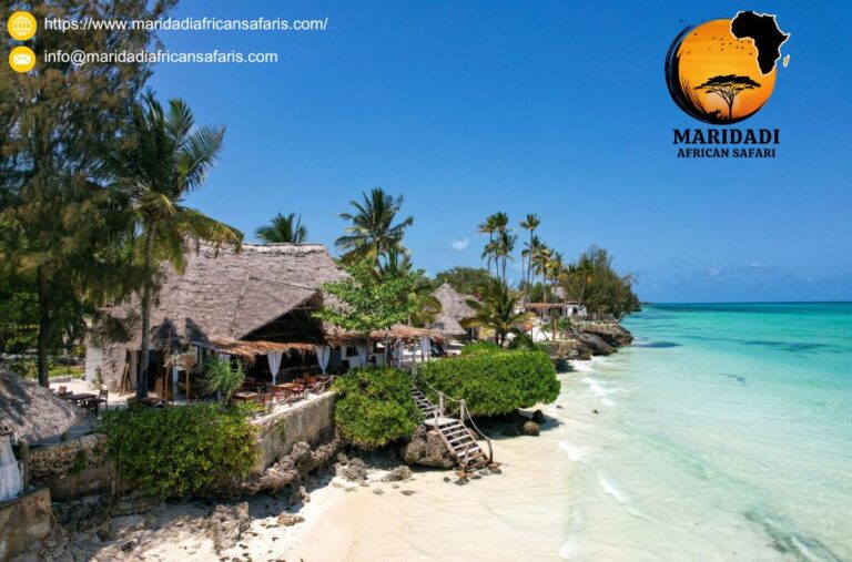Discover Tanzania Safaris from the USA: Expert-Led Adventures
