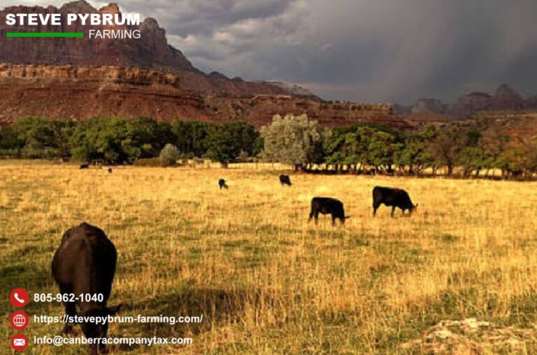Santa Maria Farm Tax Expert: Smart Strategies for Your Farm