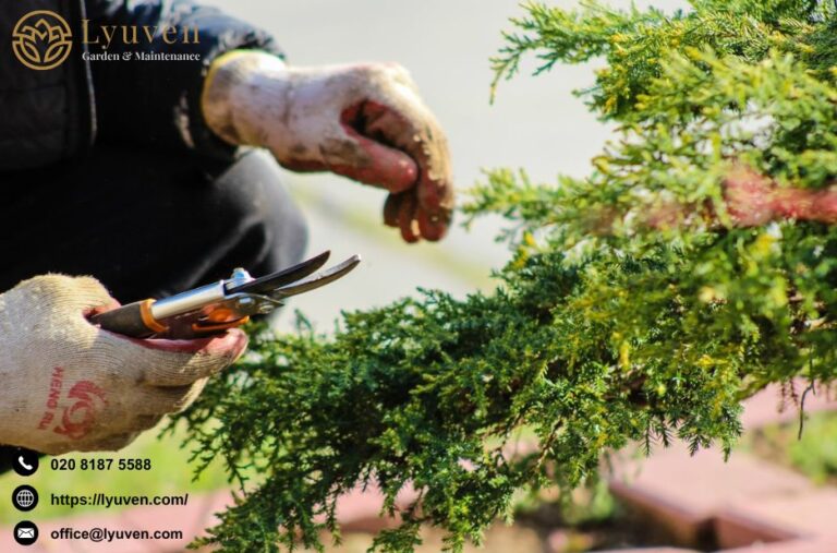 Find Reliable Yard Maintenance Near Me for a Fresh, Tidy Outdoor Space Find Reliable Yard Maintenance Near Me for a Fresh, Tidy Outdoor Space