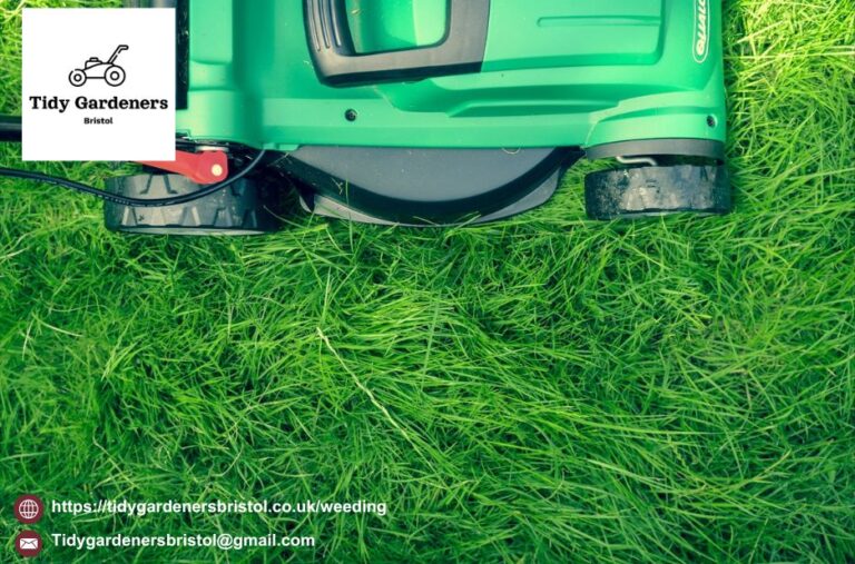 Fast, Reliable Lawn Mowing in Bristol — Same-Day Availability