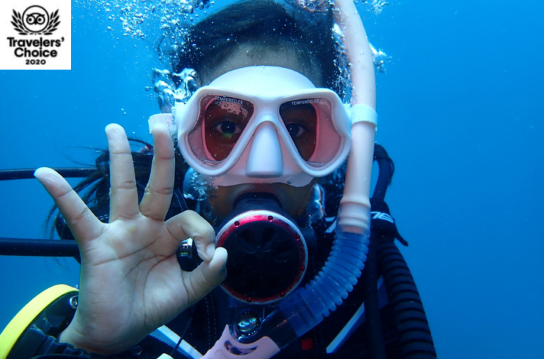 Explore Kalpitiya’s Premier Dive Destinations for All Levels Explore Kalpitiya’s Premier Dive Destinations for All Levels