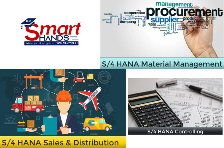 Master SAP Finance: Practical Training for Finance Professionals