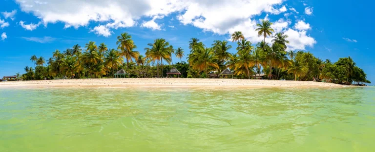 Explore Hawaii by Car: Classic Rentals for Your Island Adventure