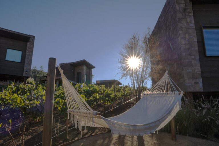 Indulgent escapes in Baja’s wine country