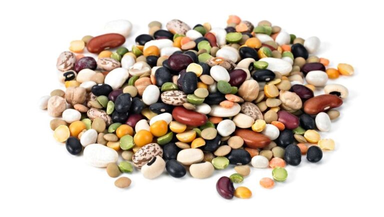 Reliable Bulk Chickpeas Suppliers for Global Wholesalers