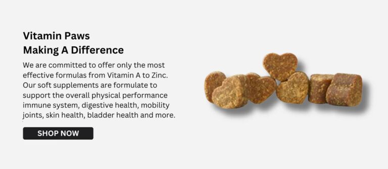 Nurturing Your Dog’s Digestion: Practical Tips and Natural Support