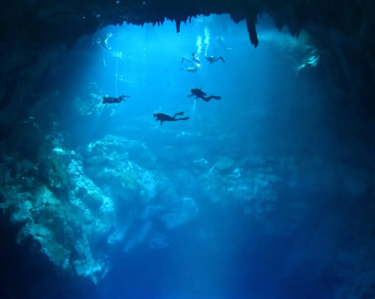 Explore Unforgettable Cenote Dives in Crystal-Clear Water Explore Unforgettable Cenote Dives in Crystal-Clear Water