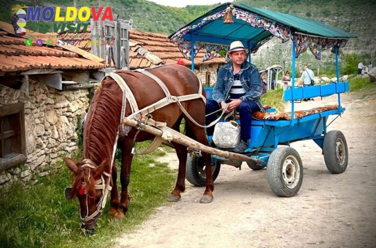 Discover Moldova’s Rich Heritage: Guided Tours and Classics Discover Moldova’s Rich Heritage: Guided Tours and Classics