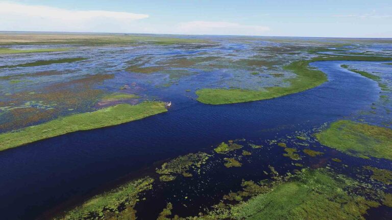 Top Permit Lodges in Mexico for an Unforgettable Fly-Fishing Escape