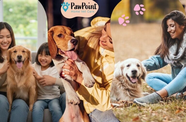In-Home Veterinary Care: Compassionate, Convenient Pet Health Services