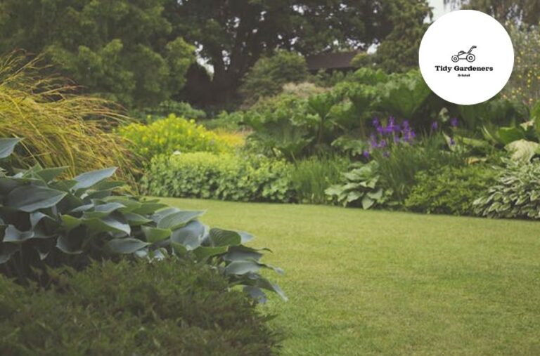 Professional Garden Care in Bristol for a Beautiful Outdoor Space