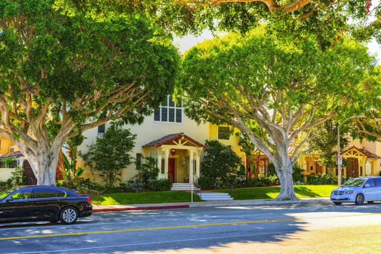 Caring for seniors: finding a trusted home with expert support