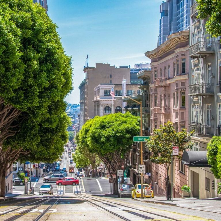 Top California Real Estate Expert for Seamless Home Moves