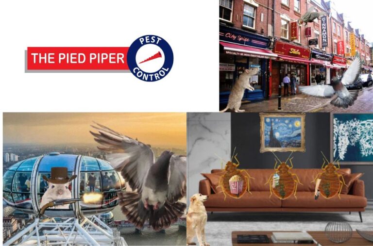 Reliable Pest Solutions for Westminster Homes and Businesses