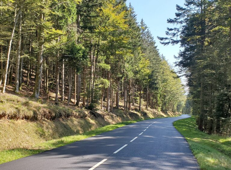 Ride the Alps and Europe: Expert Motorcycle Tours from the UK