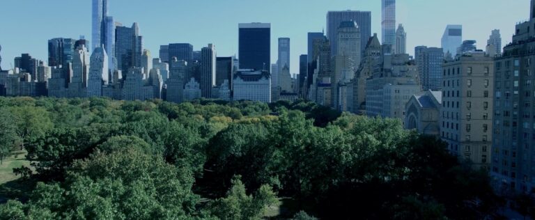 Navigating Global Tax Rules: A Practical Guide