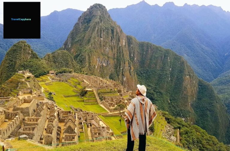 Navigate the World: Fresh Updates for Curious Travelers