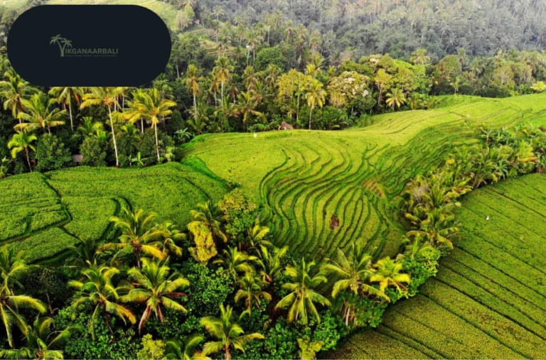 Explore Bali with Easy Online Tour Packages