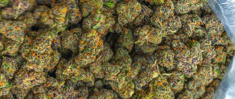 Elevate Your Experience with Premium Cannabis in the USA