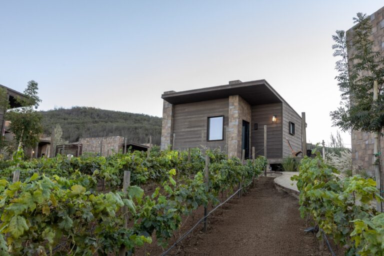 Escape to a Secluded Cabins Retreat in Valle de Guadalupe