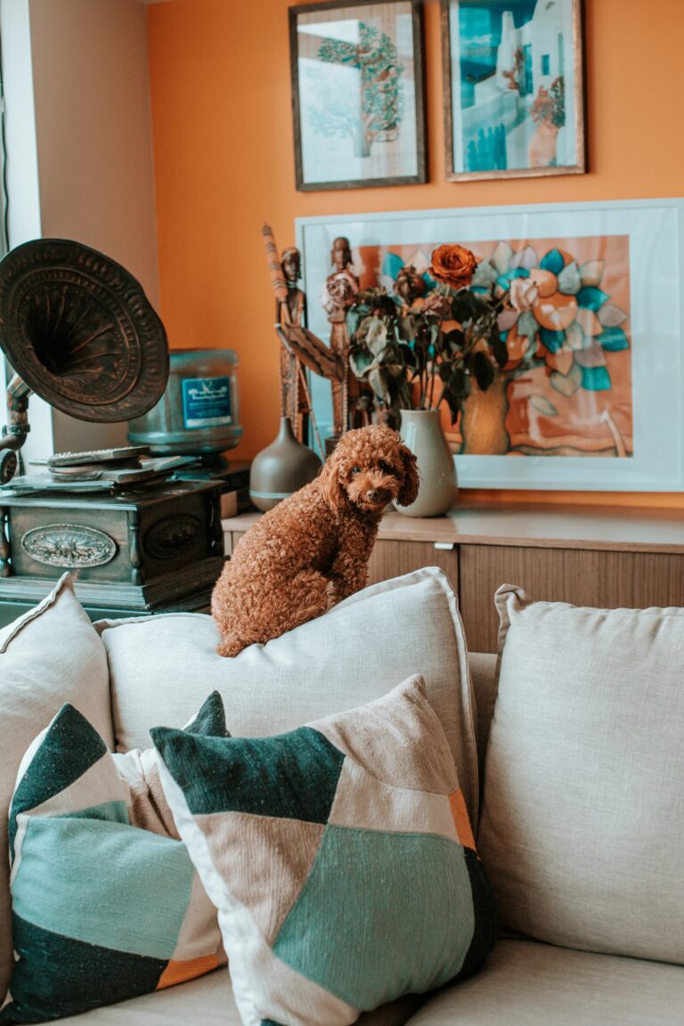 Explore a comfy, safe wheel for small pets