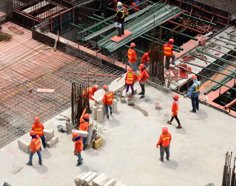 Professional Crane Dismantling Services for India Projects