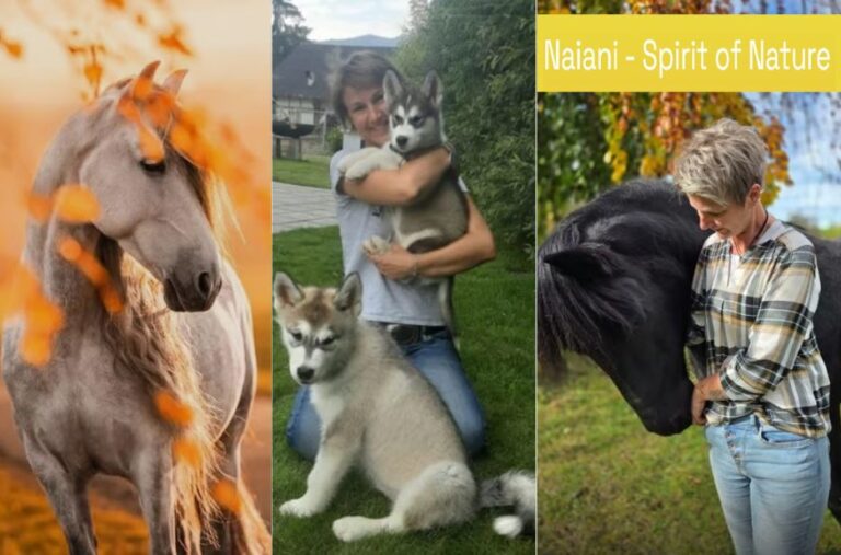 Hunde-Trauma verstehen und heilen: Wege zur Ruhe im Tierfreundlichen Alltag