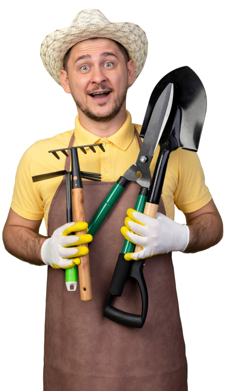 Seasonal Property Care for Regina Homes: Winter-Ready Solutions
