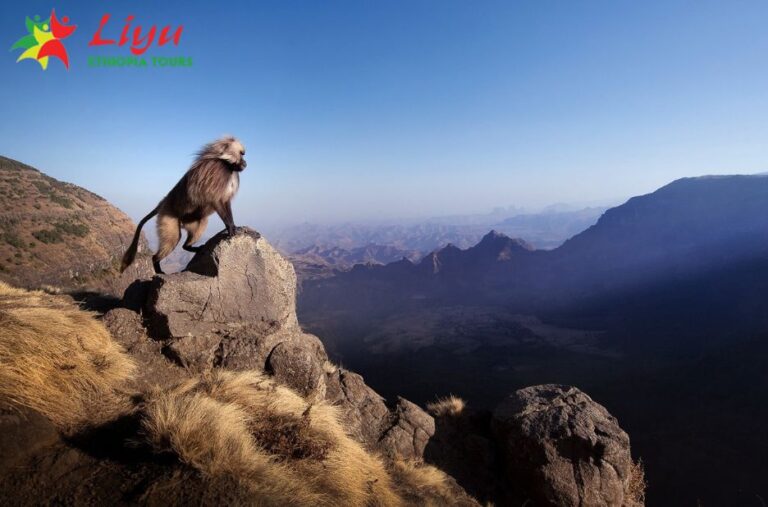 Explore Ethiopia with Guided Group Adventures
