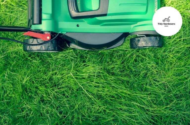 Trusted Bristol Garden Experts | Local, Friendly Lawn and Plant Care