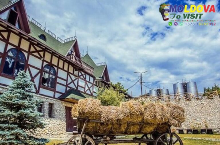 Curated Moldova Tours from Chisinau | Private, Flexible & Local