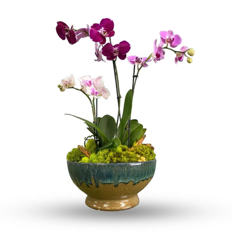 Thoughtful sympathy flowers for Marietta – heartfelt tributes