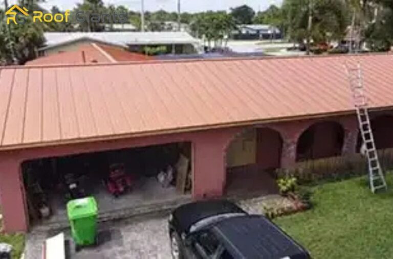 Expert Roof Fixes in Wellington You Can Trust