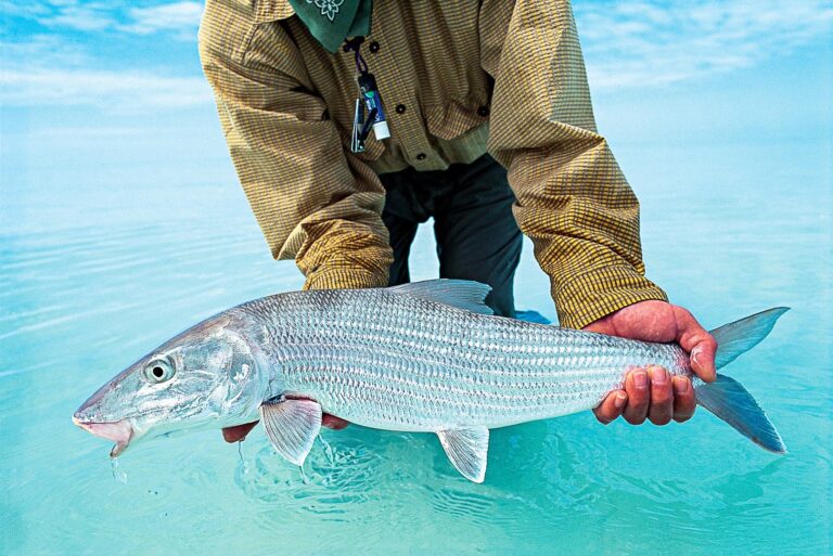 Ultimate Bahamas Bonefish Fly Fishing Experience