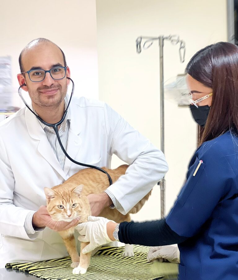 Compassionate Pet Care in Doha’s Trusted Veterinary Practice