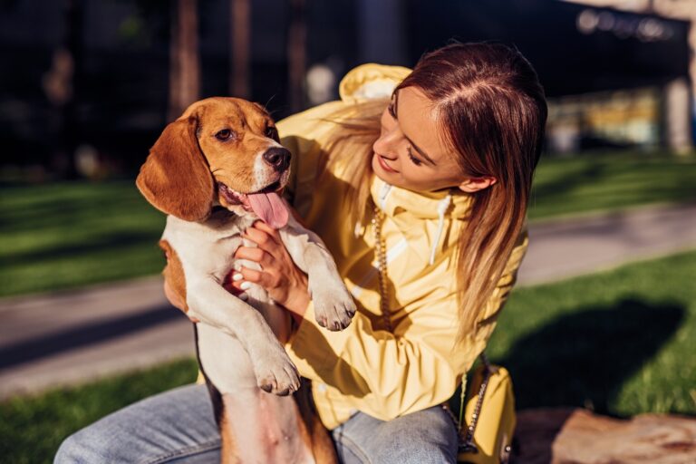 Compassionate End-of-Life Care for Your Pet in Calgary