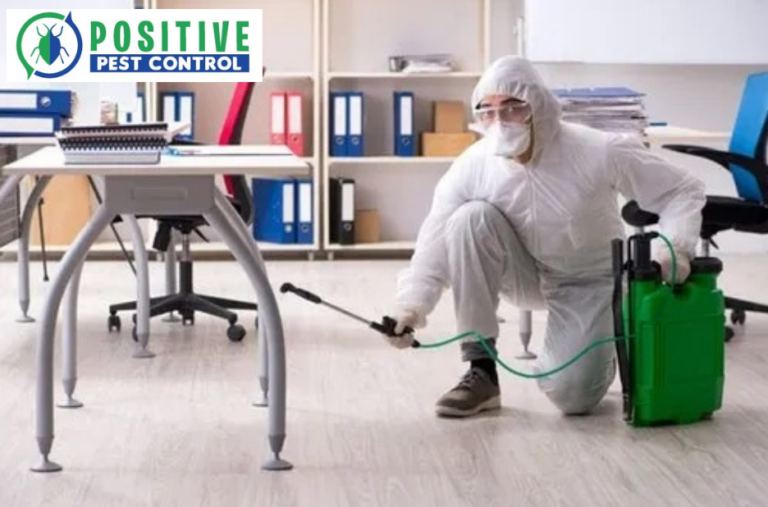 Reliable Rodent Control in Calgary – Fast, Safe Solutions