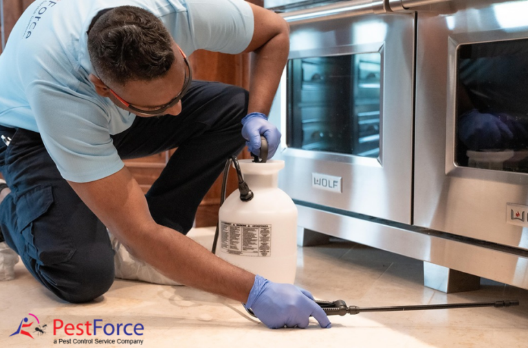 Reliable Pest Solutions for Calgary Homes and Businesses